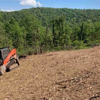 xr:d:DAFccdk6ZDA:4,j:48315220629,t:23030721